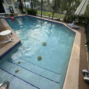 inground pool angled with custom turtle tiles