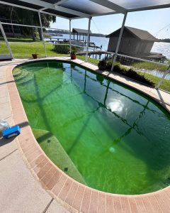 inground pool that's green before being cleaned