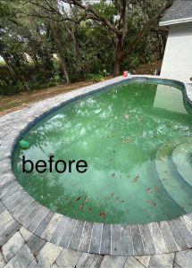 a pool that's green before cleaning